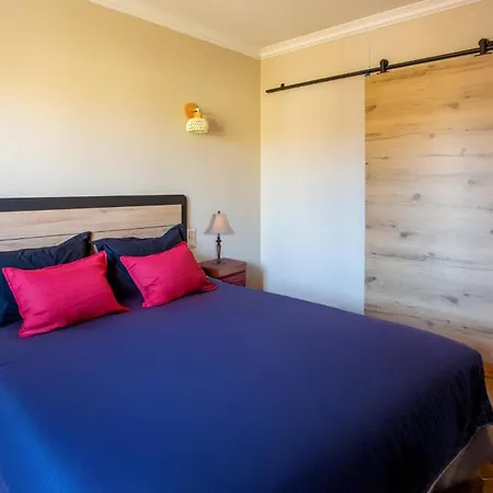 Picpoul By فيلة Pinet (Herault)