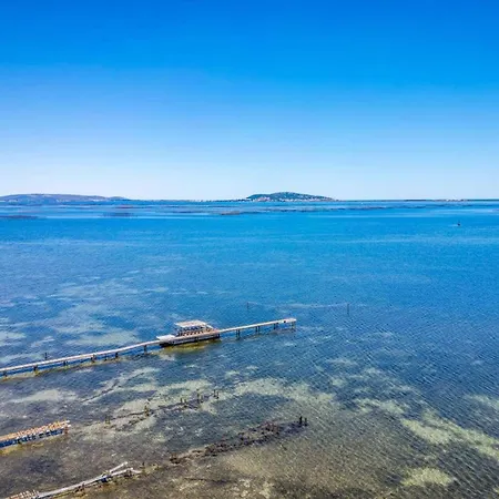 Picpoul By Pinet (Herault)